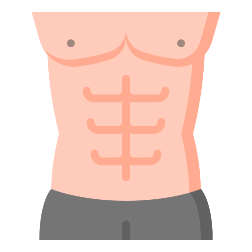 torso with six-pack abs